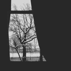 Monarcom - Murmurations (2025) [EP]