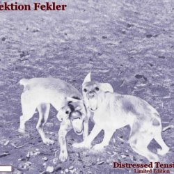 Fektion Fekler - Distressed Tension (2025) [Remastered]