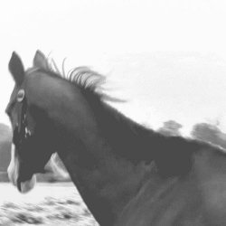 Grigio Scarlatto - Hold Me Tight (2026) [Single]