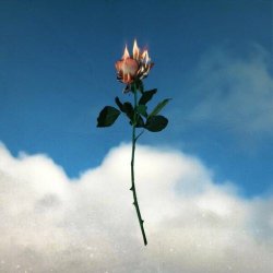 Rain Diary - You & I (2023) [Single]