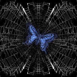 Sharp Lives - Butterfly Effect (2025) [EP]