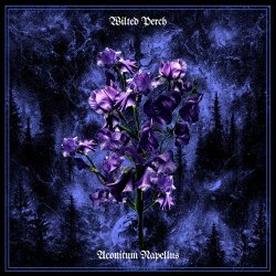 Wilted Perch - Aconitum Napellus (2026)