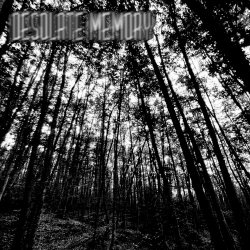 Desolate Memory - Shattered Memories (2026) [Single]