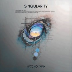 Natcho_WAV - Singularity (2026) [Single]