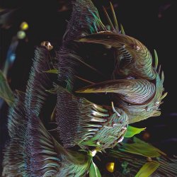 Aevin - Variscale (2026) [Single]