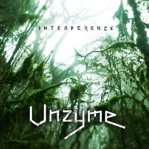 Unzyme - Interference (2026)