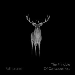 Palindrones - The Principle Of Consciousness (2022)