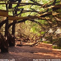 Daniel Lah - Run Into The Woods (2026) [Single]