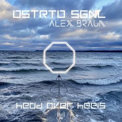 DSTRTD SGNL & Alex Braun - Head Over Heels (2026) [Single]