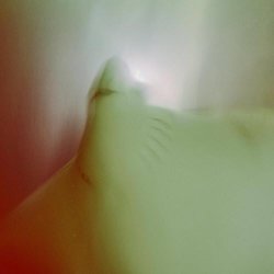 The Death Of Pop - Who You Are/Were (2026) [Single]