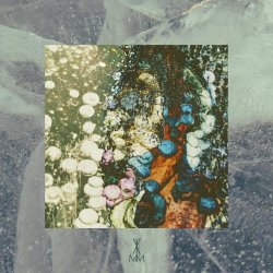 Vlimmer - Aufbeißer (2026) [Single]