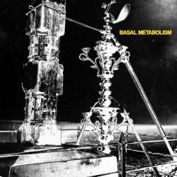 Basal Metabolism - Basal Metabolism (2024)
