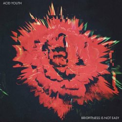 Acid Youth - Brightness Is Not Easy (2025) [EP]