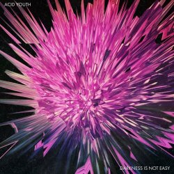 Acid Youth - Darkness Is Not Easy (2024)