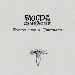 Blood In The Champagne - Evolve Like A Chrysalis (2025) [EP]