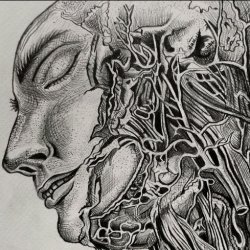 Signal 72 - Oscillate (2023) [EP]