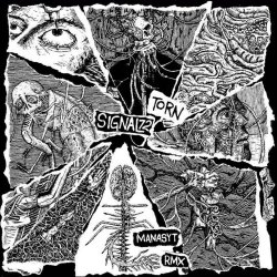Signal 72 - Torn (2023) [Single]