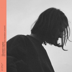Lucy Kruger And The Lost Boys - Transit Tapes (For Women Who Move Furniture Around) (2021)