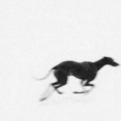 Feral Family - ...So Far Behind (2026) [EP]