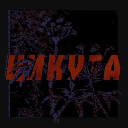 Мой Друг Магнитофон - Цикута (2026) [Single]