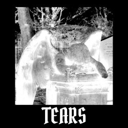 Vampire Valentine - Tears (2026) [Single]