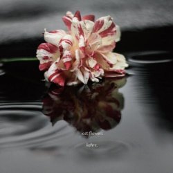 Kehre. - Lost Flowers (2022) [EP]