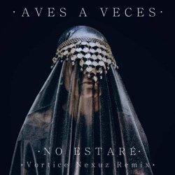 Aves A Veces - No Estaré (Vortice Nexuz Remix) (2026) [Single]