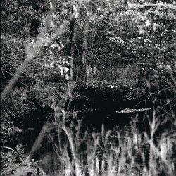 Nocturnal Poisoning - Other Worlds Of The Mind (2012)