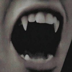 Vampire Moon - Darkness Devotion (2026) [Single]