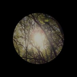 Novemthree - Closer To Truth (2026) [Single]
