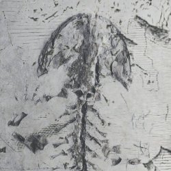 Kristoffer Oustad - Live At Sprø Musikk 2022 (2022)
