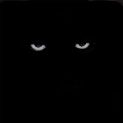 Dxrkknght - Dxywxlker (2025) [Single]
