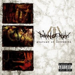 Dawn Of Ashes - Viral Decay (2026) [Single]