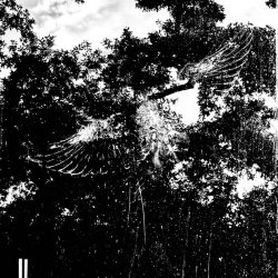 Endless Me - Kinder Des Himmels (2026) [Single]