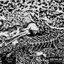 John 3:16 - Nephilim (2026) [Single]