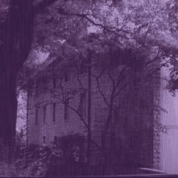 The Ginger Twins - Longsdorff (2026) [Single]