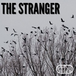 Cold Contrast - The Stranger (2026) [Single]