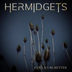 Hermidgets - Could I Be Better (2026) [Single]