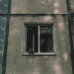Past Day - Russian Summer (Slowed And Reverb) (2026) [EP]