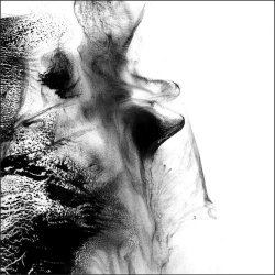 The Stargazer's Assistant - Mirrors & Tides, Shivers & Voids (2013)
