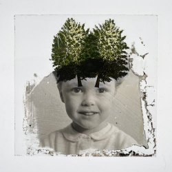The Stargazer's Assistant - Modular Fields (2026)