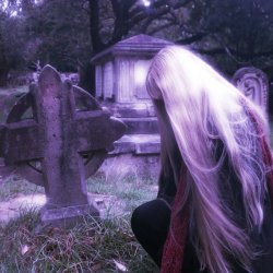 Sidewalks And Skeletons - Signal (2026) [Single]