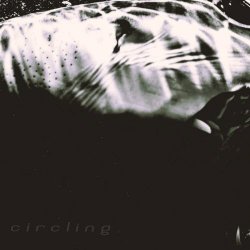 Who Saw Her Die? - Circling (2026) [EP]