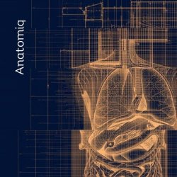 Disco Outcast - Anatomiq (2026) [EP]