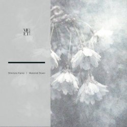 Shintarø Kanie - Watered Down (2026) [EP]