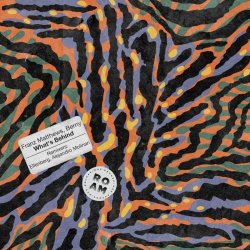 Franz Matthews - What's Behind (2023) [EP]
