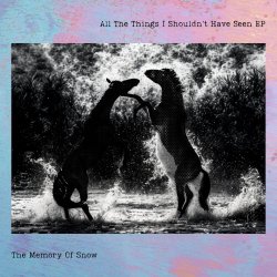 The Memory Of Snow - All The Things I Shouldn't Have Seen (2026) [EP]