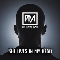 Destroy Me Again - She Lives In My Head (2026) [Single]