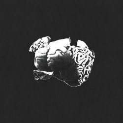 A Thousand Mad Things - Truth You Seek (2026) [Single]