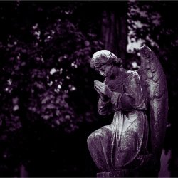 Acid Fader - Devotion (2026) [Single]